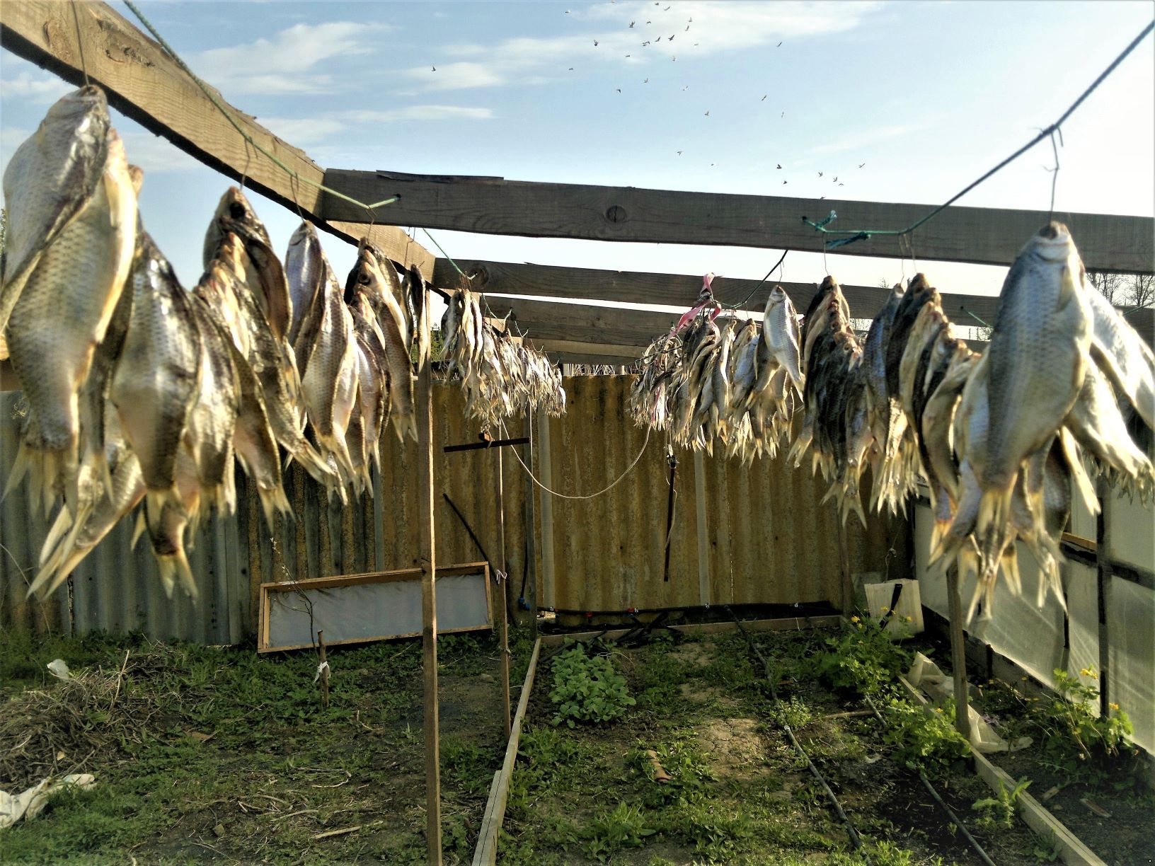 Рыбалка на волге с проживанием в домиках